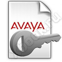 AVAYA 174958