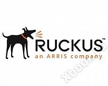 Ruckus 40G-QSFP-C-00508